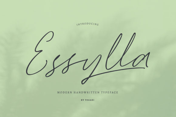 Essylla Font: Elevating Editorial Design with Flow