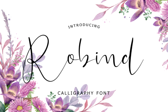 Robind Font Review: Elevating Web Design Typography