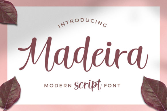 Testing the Madeira Font in Modern Web Layouts